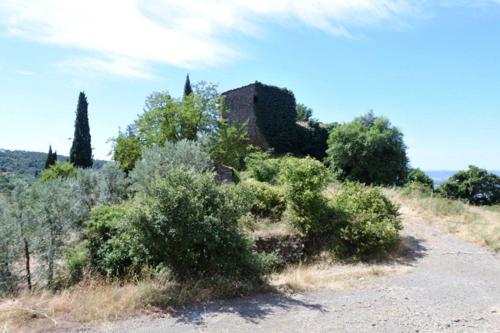 castello di vitiano 5
