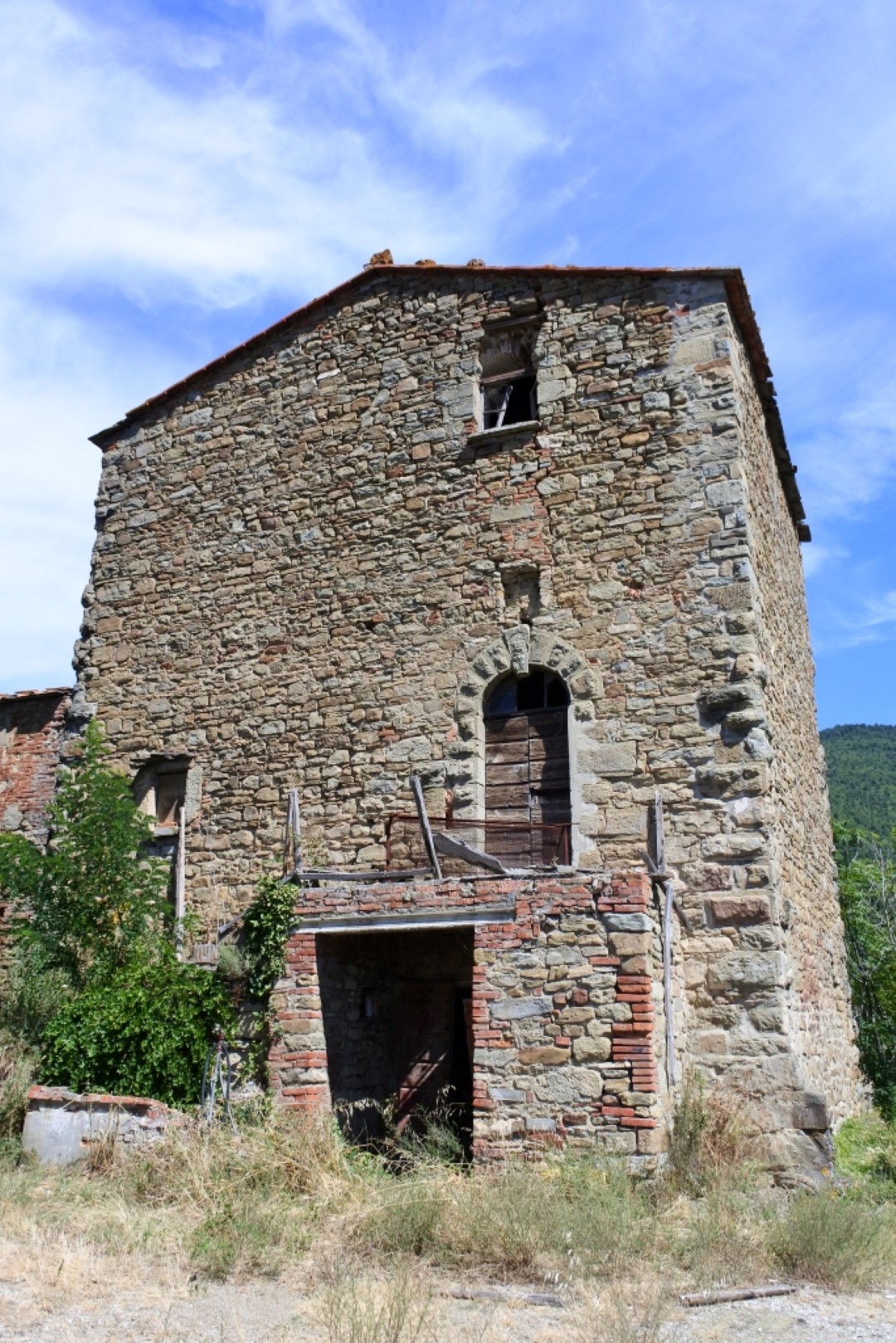 castello vitiano 1