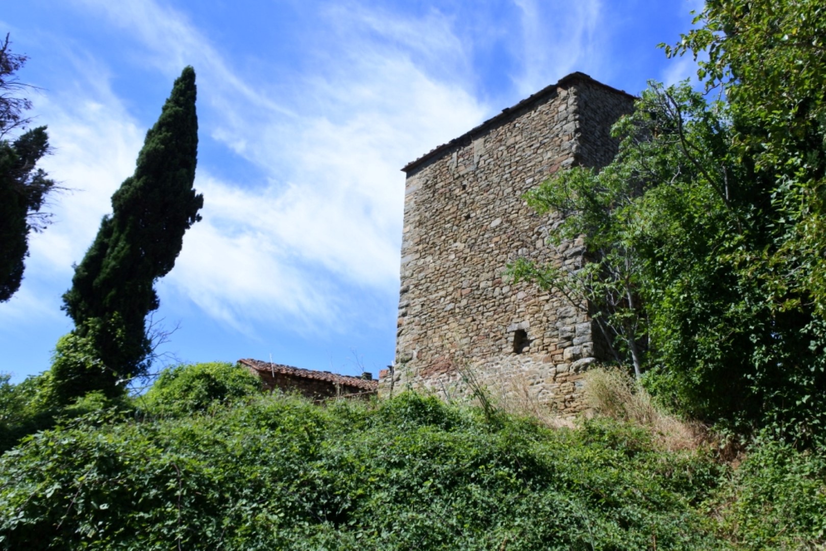 castello vitiano 2